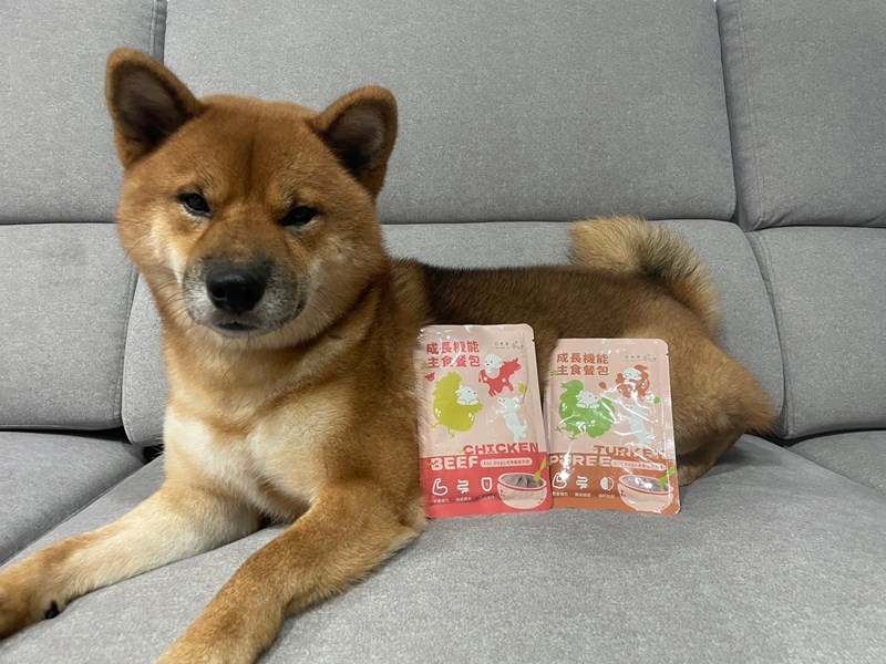 試用